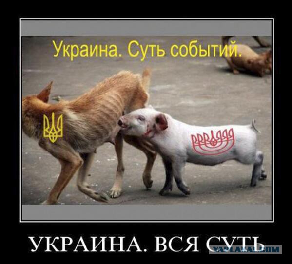 Бесславные ублюдки...