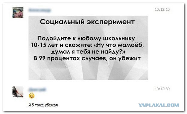 Свежие смешные комментарии из социальных сетей