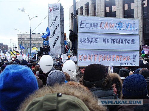 Лучшие плакаты с митинга 24.12