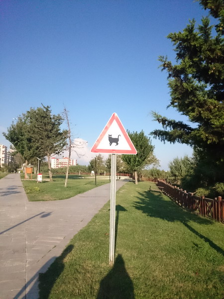 Турция БЕЗ олинклюзив