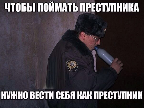 Приколы из сети