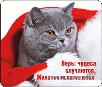 Биатлон. Сезон 2015/2016 часть1. Этап 1.