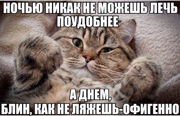 Мохнатые беспредельщики