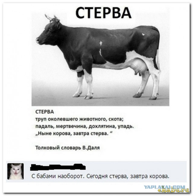 Смешные комментарии из социальных сетей 20.05.2016