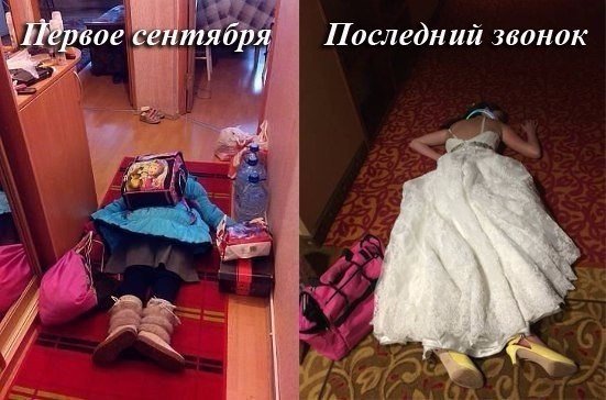 Ужасы и приколы из соцсетей 18+