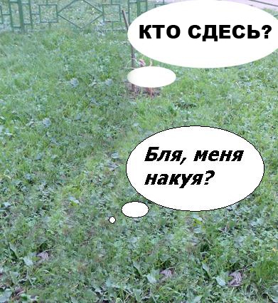 Фотожаба: да здесь где-то недалеко!