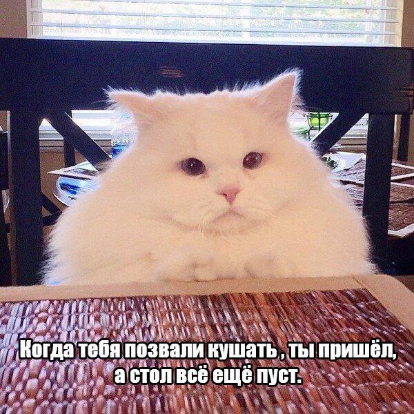 Небольшой микс картинок и гифок