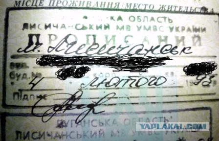 ДНР нанесли залповый удар реактивными снарядами по украинским войскам