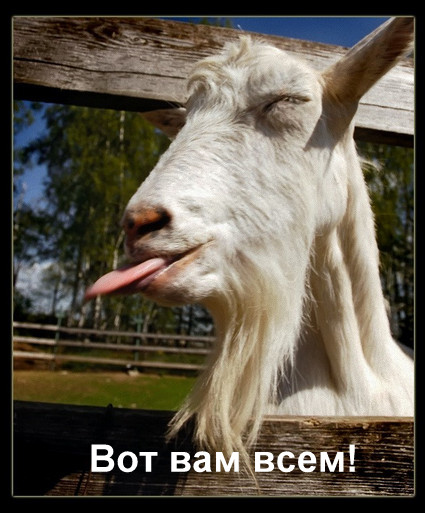 Козлик хулиган