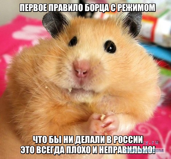 Опричные войска?
