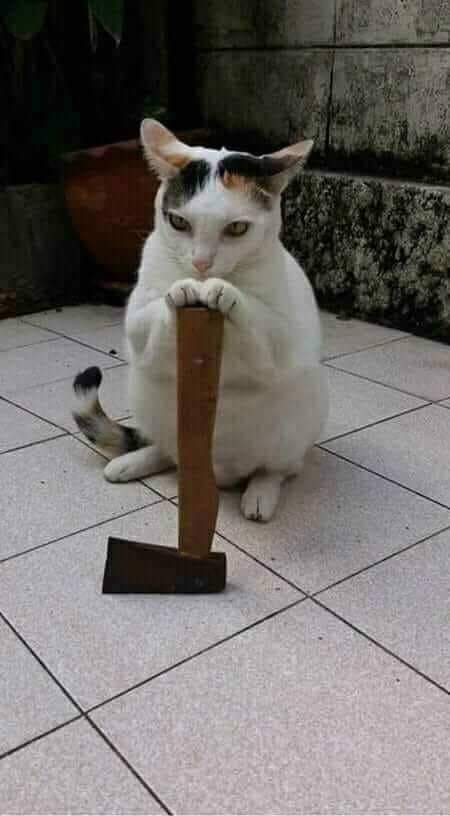 Наказание в медресе. Сурово. 18+