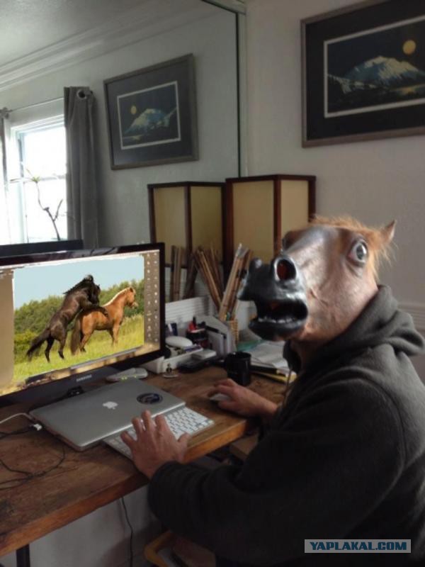 Пока хозяин на работе
