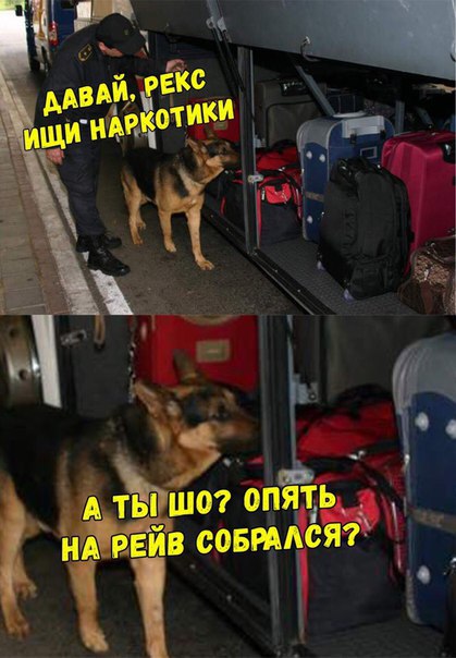 А вот и деградация подоспела. Ура, товарищи!