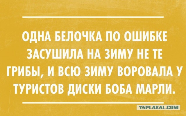 РПЦ против «Ведьминой радости», Кинешма
