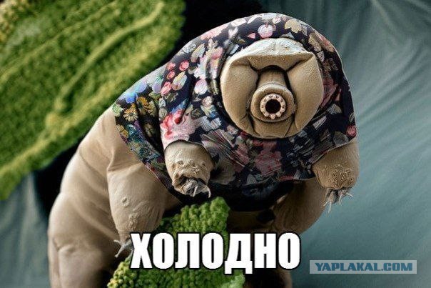 Холодный "флешмоб": Москва и страдающие москвичи без отопления