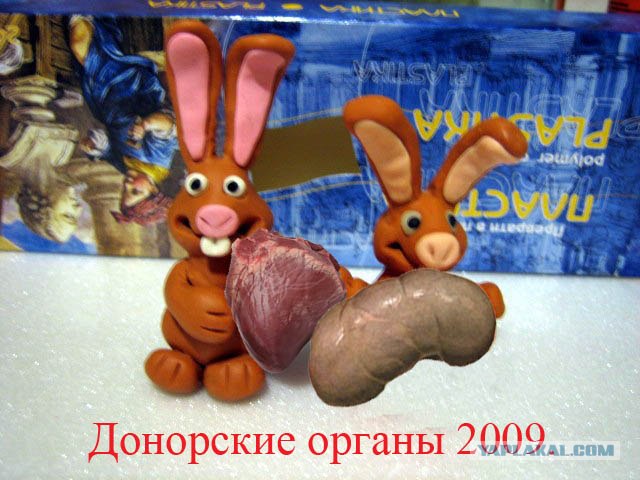Позвольте детям построить лучший мир
