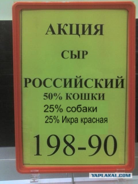 Сыр Российский: 50% кошки