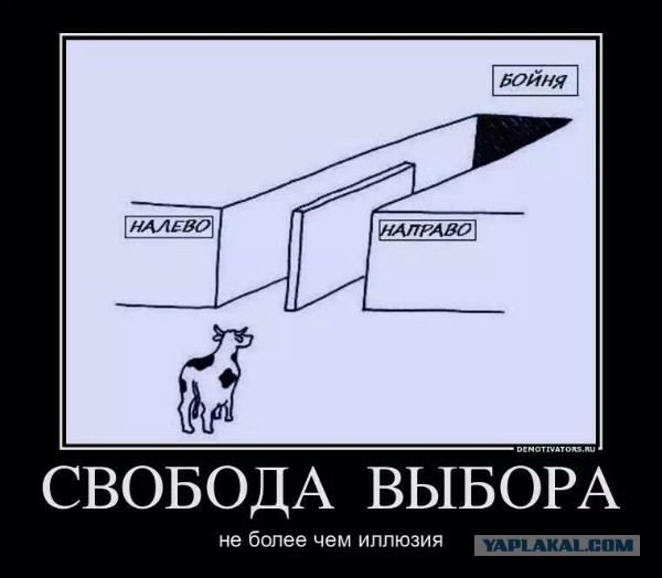 Демократический вопрос