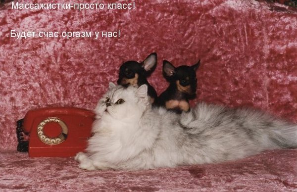 Чуток картинок.  Вечерние