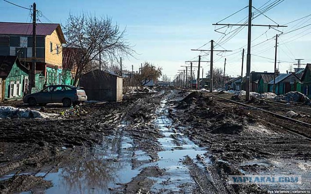 "Русские тут не жалуются": Омич с "чумного корабля" стал примером для испугавшихся смертельного вируса