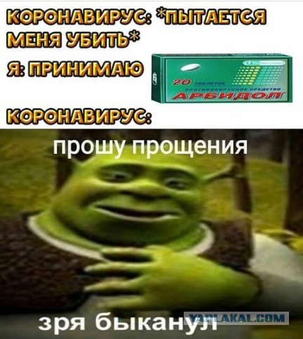 Коронавирус — «фейк всемирного масштаба»: ситуация полностью выдуманная
