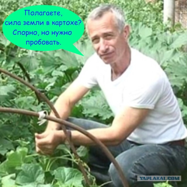 Лукашенко для борьбы с коронавирусом призвал пить водку, ходить в сауну и работать в поле на тракторе