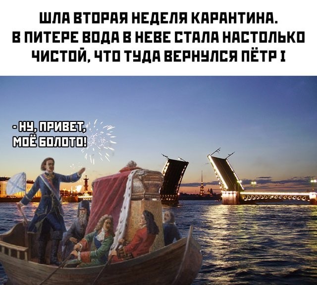 Шла вторая неделя карантина, без людей природа начала восстанавливаться. В город вернулись птицы и осторожные динозавры