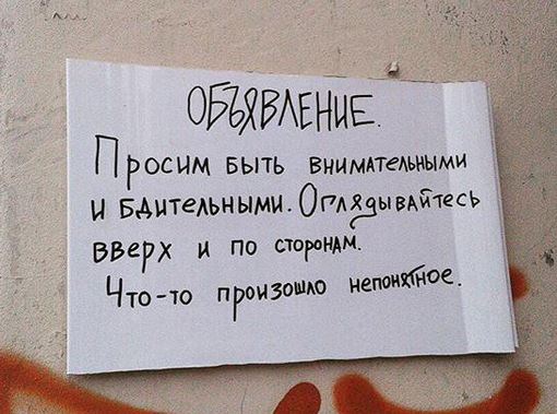 Что-то происходит с насекомыми...