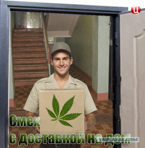 Фотожаба: ТВ программа