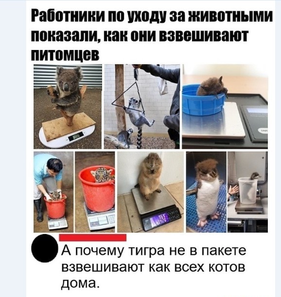 Картинки и мемы для настроения 024