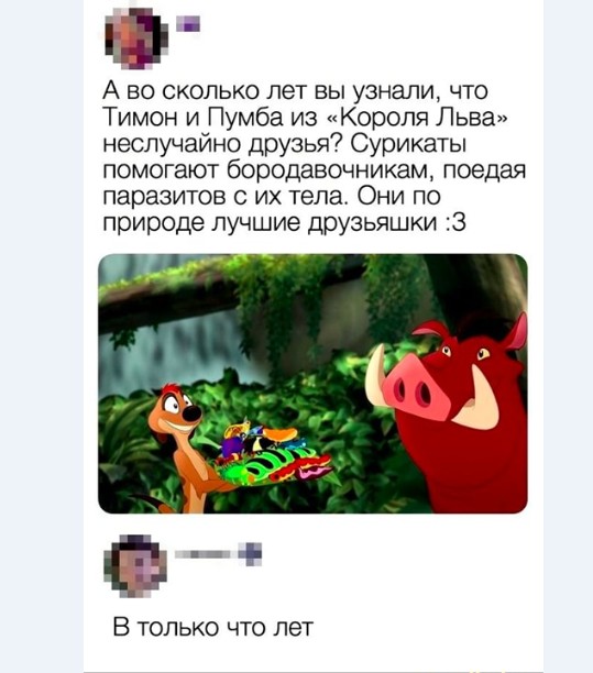 Картинки и мемы для настроения 017