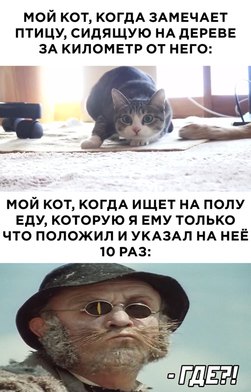 Весёлый полтишок 7.04