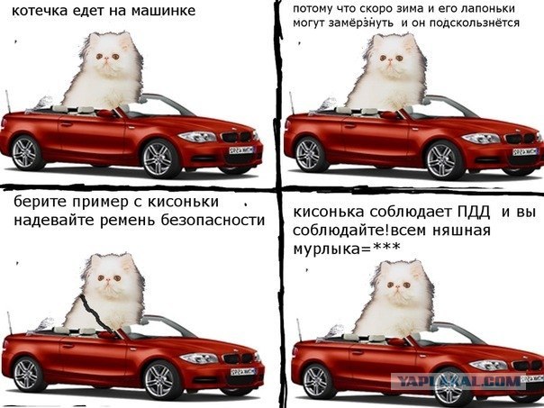 "Вышел" через лобовуху