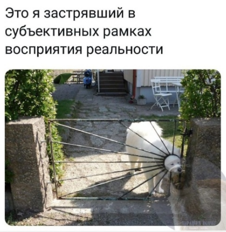 Картинки и мемы для настроения 13.04.2021