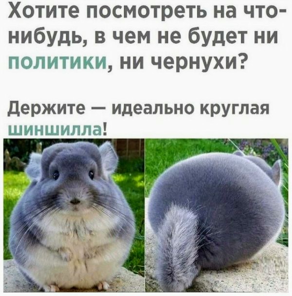 Картинки и мемы для настроения 12.07.2021