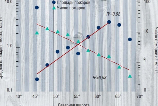 Российские леса постоянно горят, но их биомасса рекордно выросла. Как так вышло и что из этого следует?