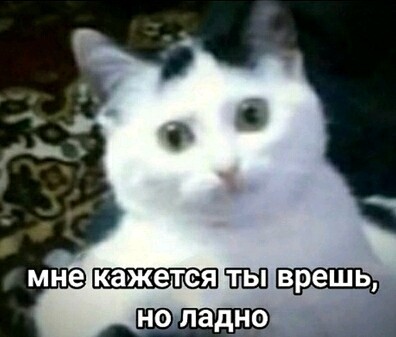 Дашка