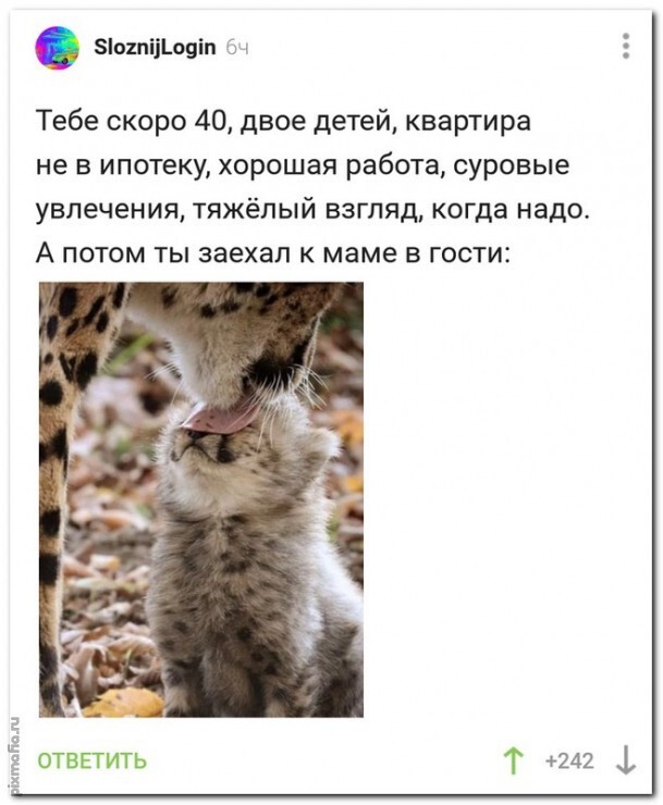 Картинки и мемы для настроения 14.08.2021
