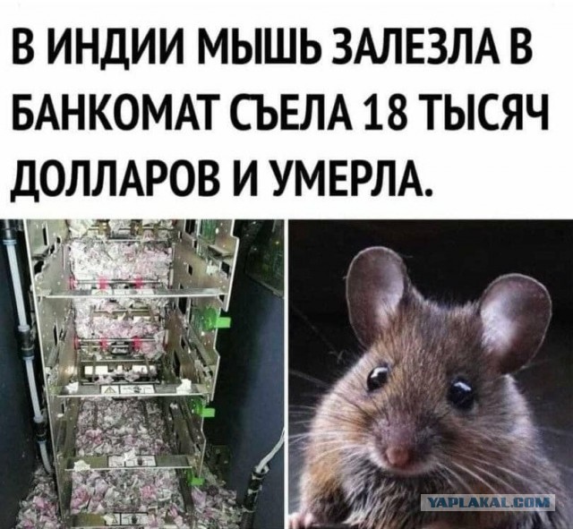 Так себе картинки 23.09.21