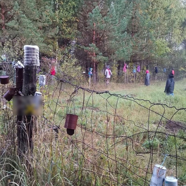 Здесь будет Петербург
