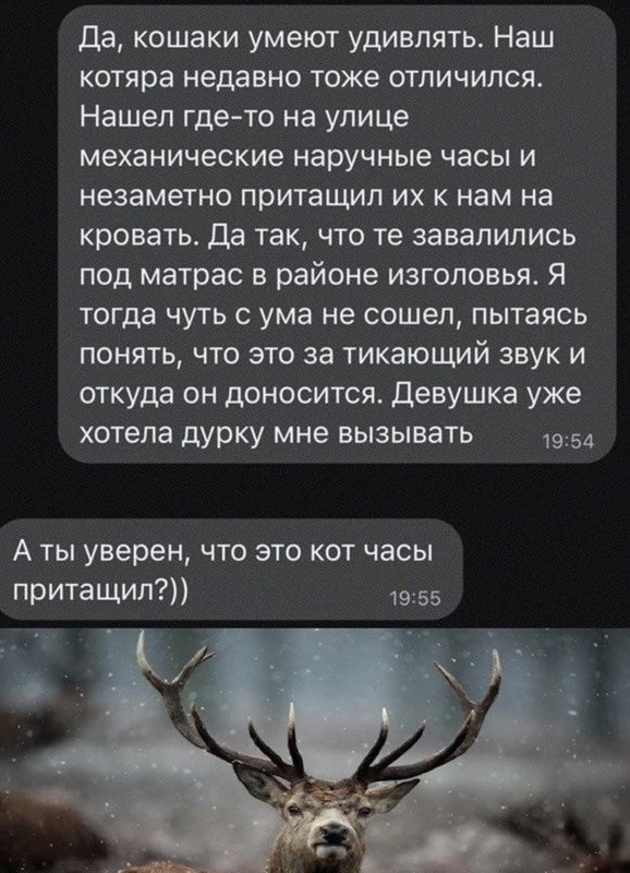 Картинки и мемы, всем отличных выходных