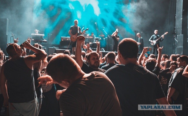 Панки не умирают