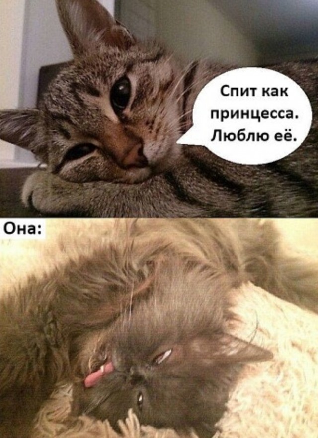Пятница. Вечер. Картинки всякие #12
