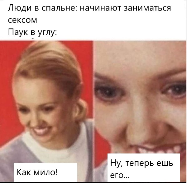 Пятница. Вечер. Картинки всякие #13