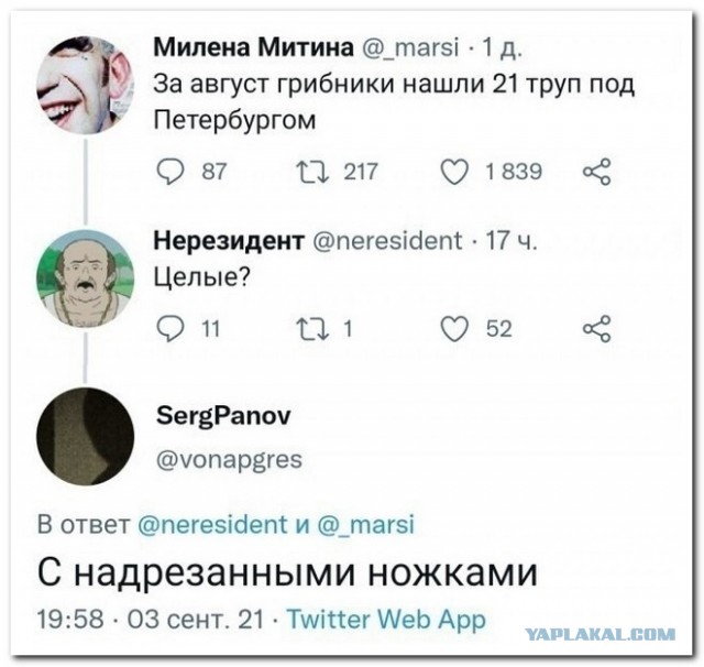 Забавные комментарии из социальных сетей (03.10.22)