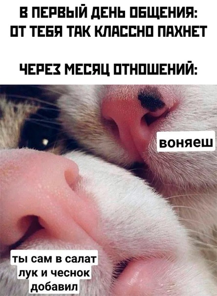 Немного картинок для настроения - 125