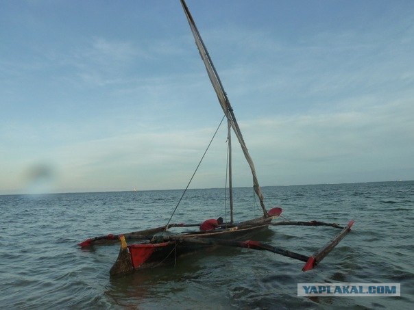 AFRICA - (Эфиопия,Кения,Танзация) 4-16 ноября 2011