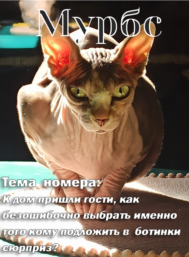 Журнал успешных котов
