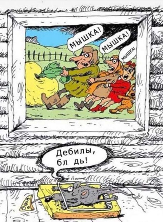 Так себе картинки 25.01.2023