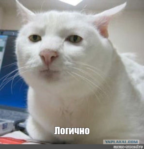 Жалостливые соседи